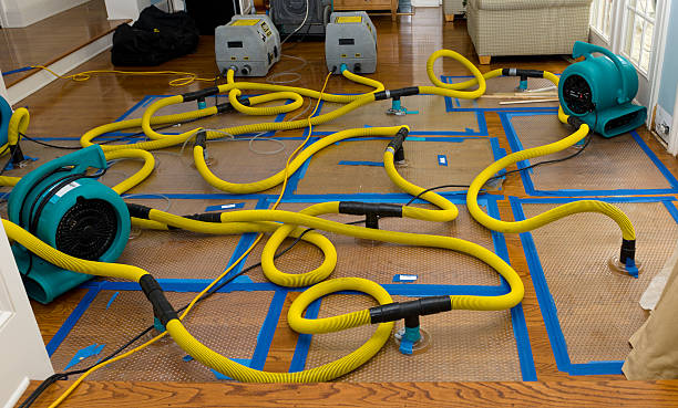 Professional Basement Flood Cleanup technician working in Yonkers, NY